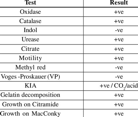 pseudomonas aeruginosa catalase test|3.17 Biochemical Tests for the Identification of Aerobic Bacteria .
